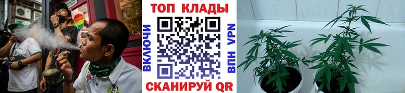 Где купить наркоту Кущёвская Конопля A-PVP Галлюциногенные грибы кракен сайт Гашиш Амфетамин МЕФ