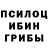 Псилоцибиновые грибы Psilocybine cubensis Valerio Kaminskyy