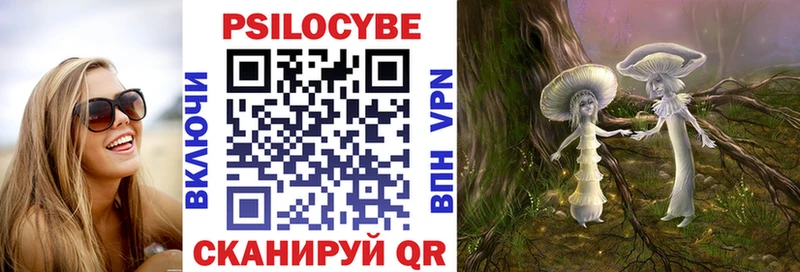OMG   Кущёвская  Псилоцибиновые грибы прущие грибы 